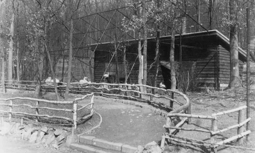 C228 ZOO Brno-Bystrc